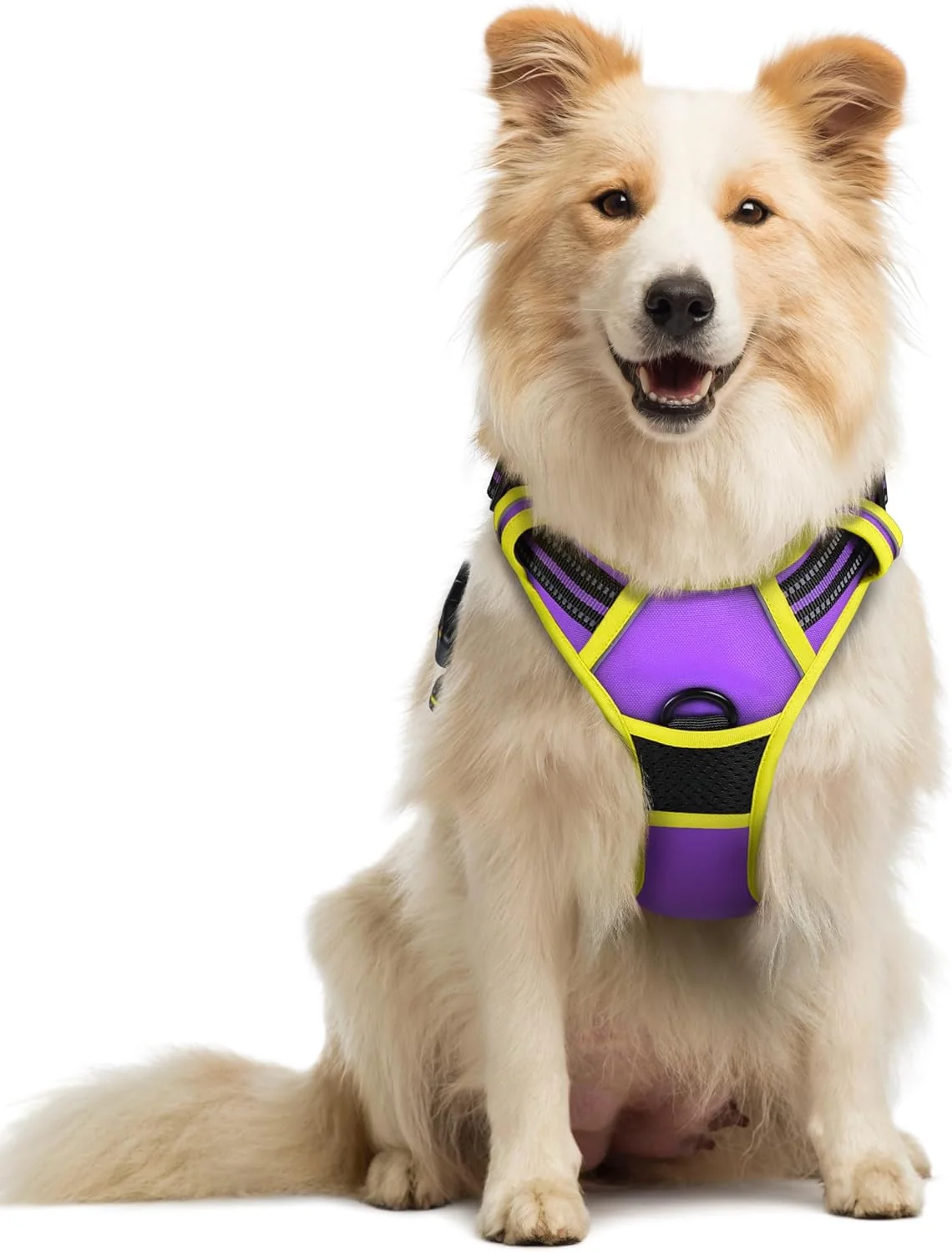 Selected rabbitgoo Dog Harness No Pull with 2 Leash Clips Adjustable Soft Padded Reflective Oxford No Choke Pet Vest with Easy Control Handle for Medium Sized Dogs Purple Yellow M Functional
