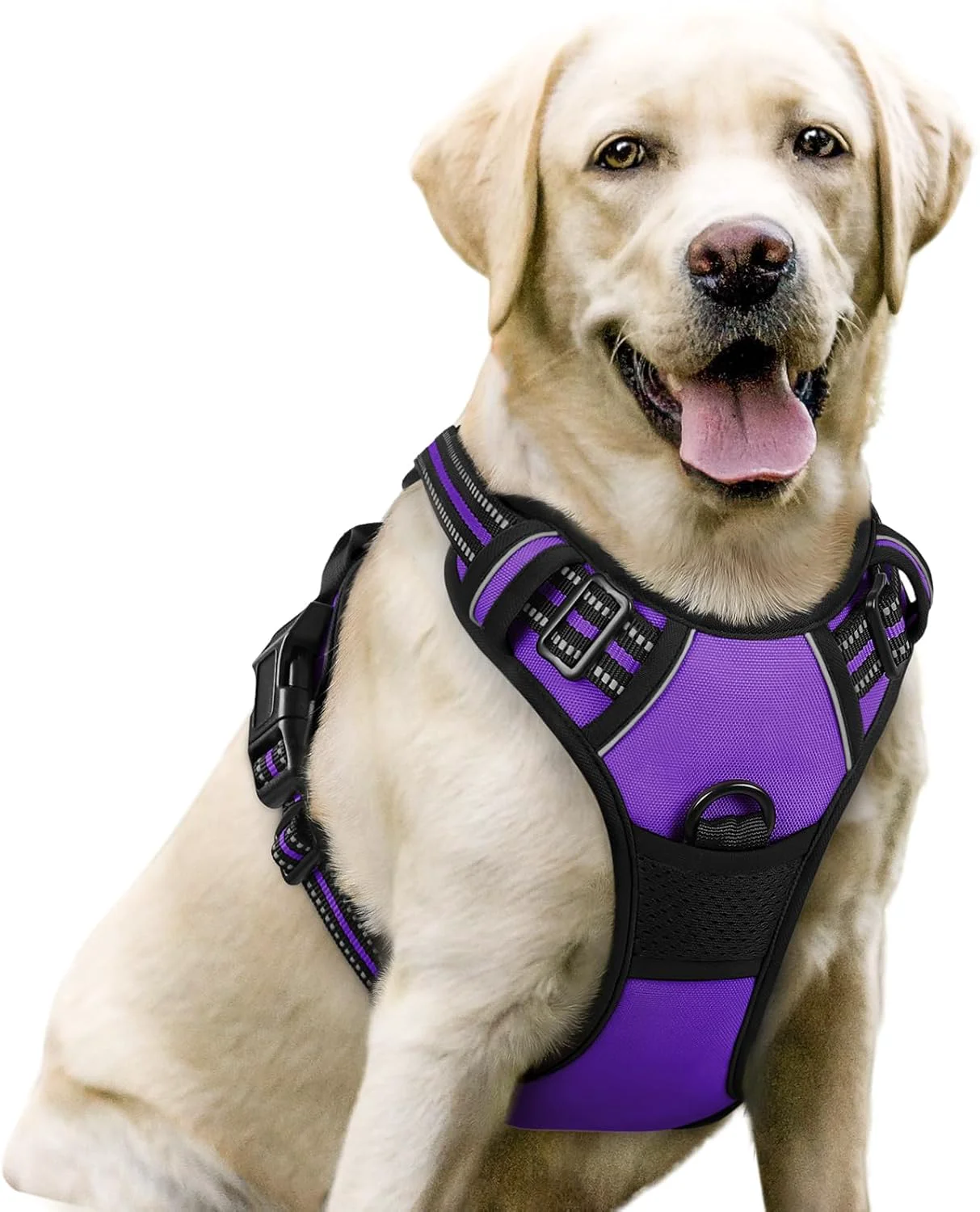 Trendy rabbitgoo Dog Harness No-Pull Pet Harness with 2 Leash Clips Adjustable Soft Padded Dog Vest Reflective No-Choke Pet Oxford Vest with Easy Control Handle for Large Dogs Purple L Functional