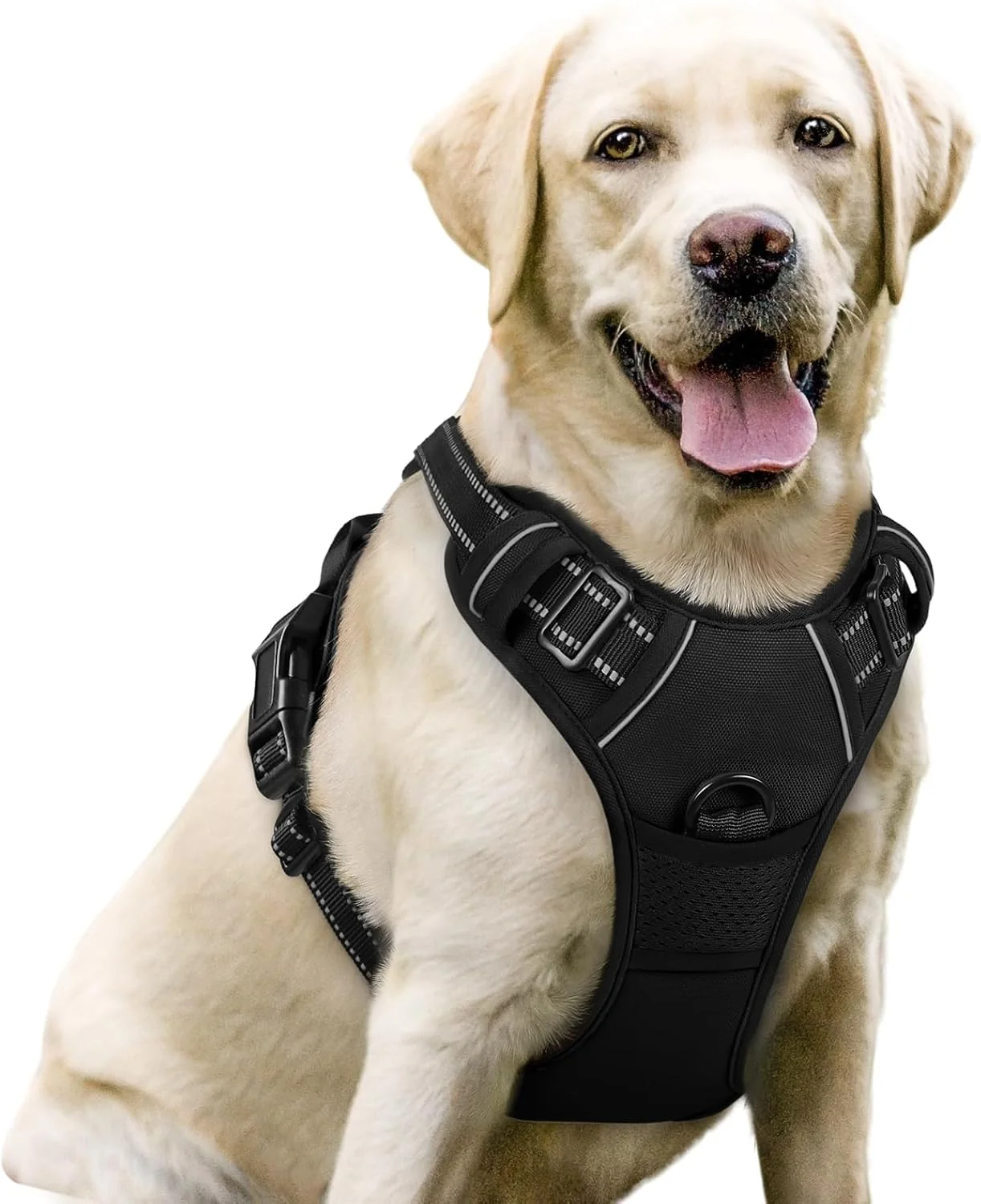 User-Friendly rabbitgoo Dog Harness No Pull with 2 Leash Clips Adjustable Soft Padded Reflective Oxford No Choke Pet Vest with Easy Control Handle for Large Dogs Black L Superior