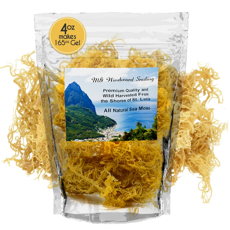 Crafted Pure Wild Harvested Organic Gold Raw Sea Moss Relaxed
