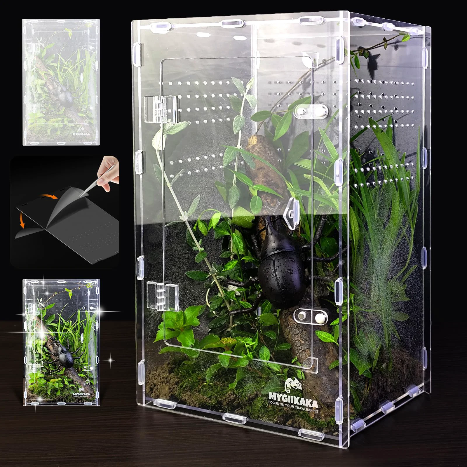 Original Design MYGIIKAKA Acrylic Jumping Spider Enclosure – 13.78 x 7.48 x 7.87 in Terrarium for Spiders Mantises Tarantulas Frogs Minimalist