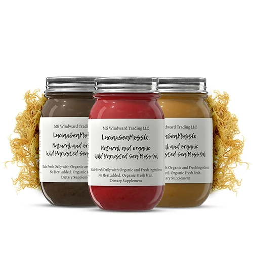 Exceptional Omega 3 Infused Organic Sea Moss Gel Convenient