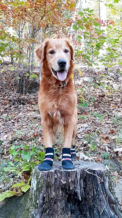 Responsible All Weather Neoprene Paw Protector Dog Boots with Reflective Straps in 5 Sizes Black Large About ThisOverview First-Class