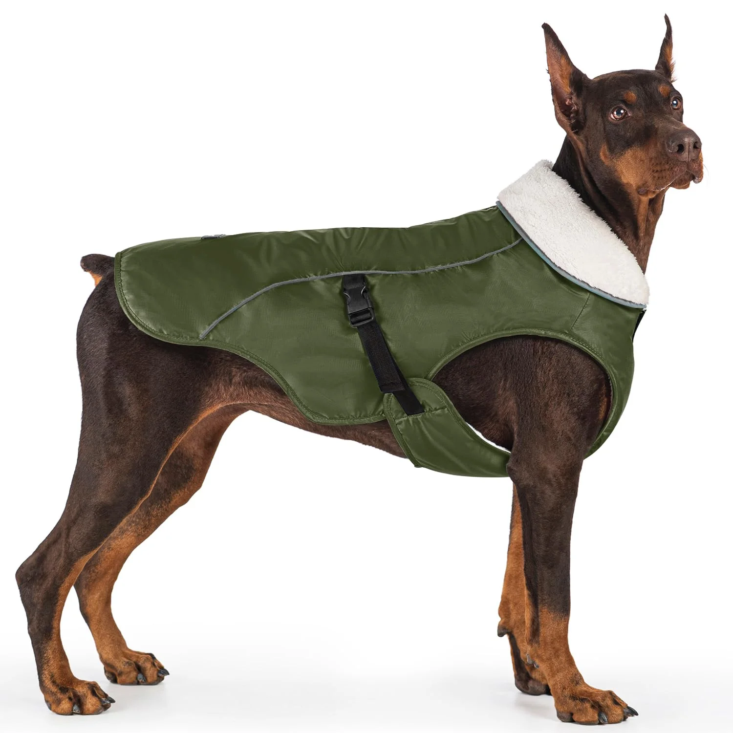 Carefully Designed EMUST Dog Winter Coat – Thick Windproof Jacket for Small to XXL Dogs Green Organic