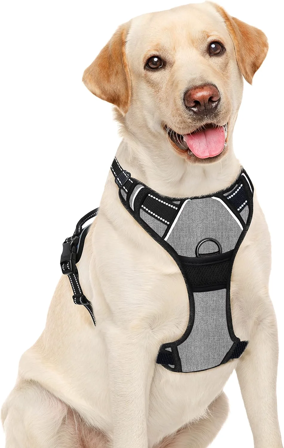 Clean BARKBAY No Pull Dog Harness Large Step in Reflective Dog Harness with Front Clip and Easy Control Handle for Walking Training Running Flint Gray L Environmentally Friendly