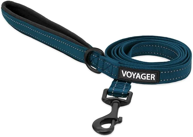Durable Pet Supplies Voyager Reflective Dog Leash or Collar Responsible