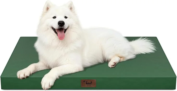 Detailed Outdoor Large Washable Dog Bed Orthopedic Egg Crate Foam Dog Crate Mat High-Quality