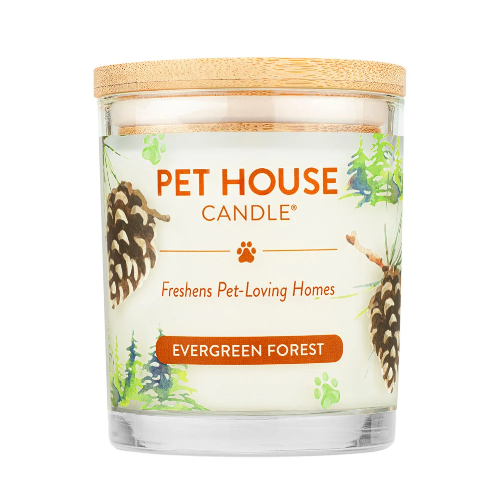 Unique Evergreen Forest Candle Fine