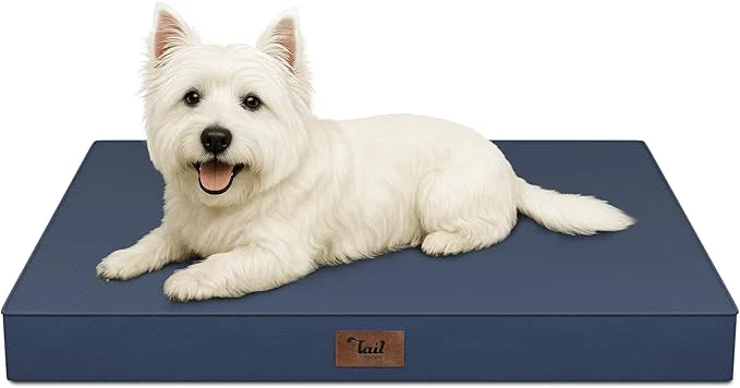 Fine Crafted Outdoor Dog Bed for Small Dogs Cats Waterproof Dog Crate Mat Orthopedic Egg Comfortable