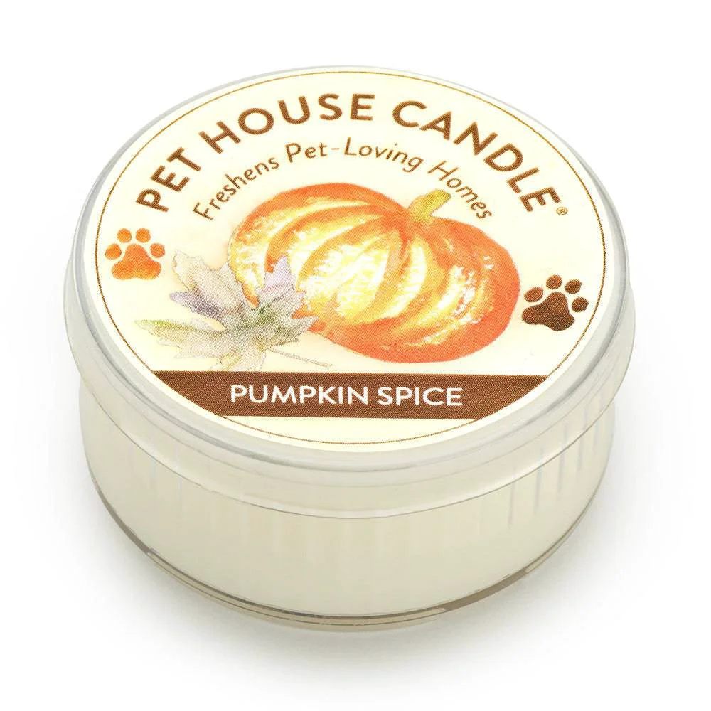 Modern Pumpkin Spice Mini Candle Original Design