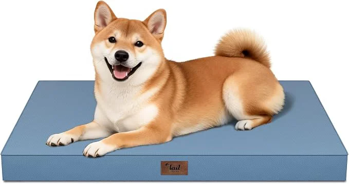 Solid Outdoor Dog Bed for Medium Dogs Waterproof Dog Crate Mat Orthopedic Egg Crate Environmentally Friendly