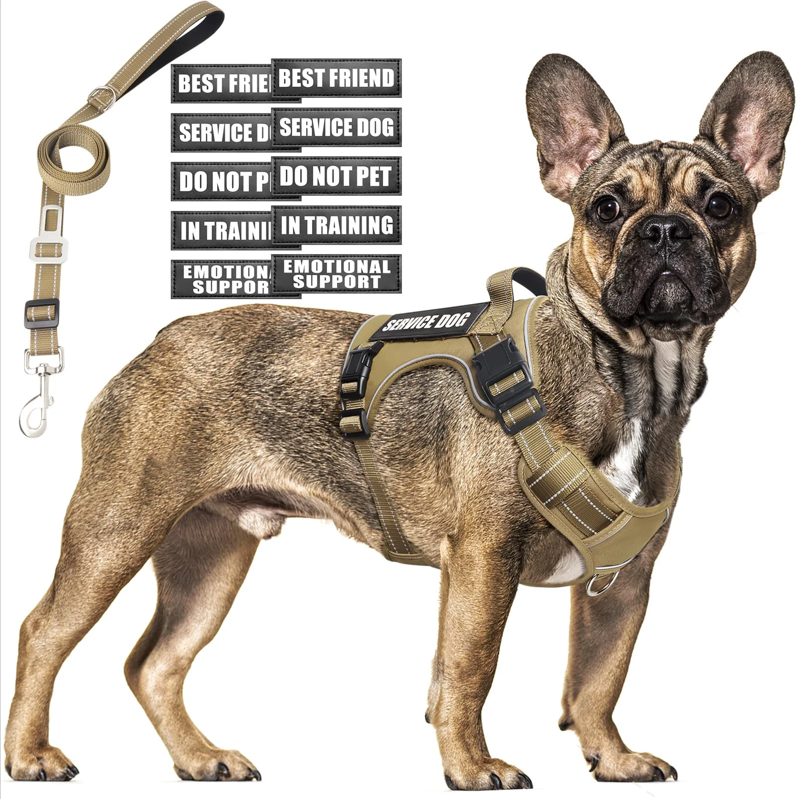 Environmentally Friendly MOOGROU Tactical Dog Harness and Leash Set — Adjustable Reflective 2 in 1 Pure
