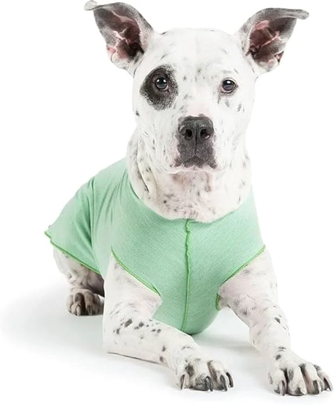 Genuine Goldpaw Dog Sun Shirt with UV Protection – Lightweight Cooling Sun Protection Clothing for Dogs – Reduce Heat Absorption – Pet Clothes Made in The USA – Machine Washable – Pistachio Green – Size 26About ThisOverview Crafted