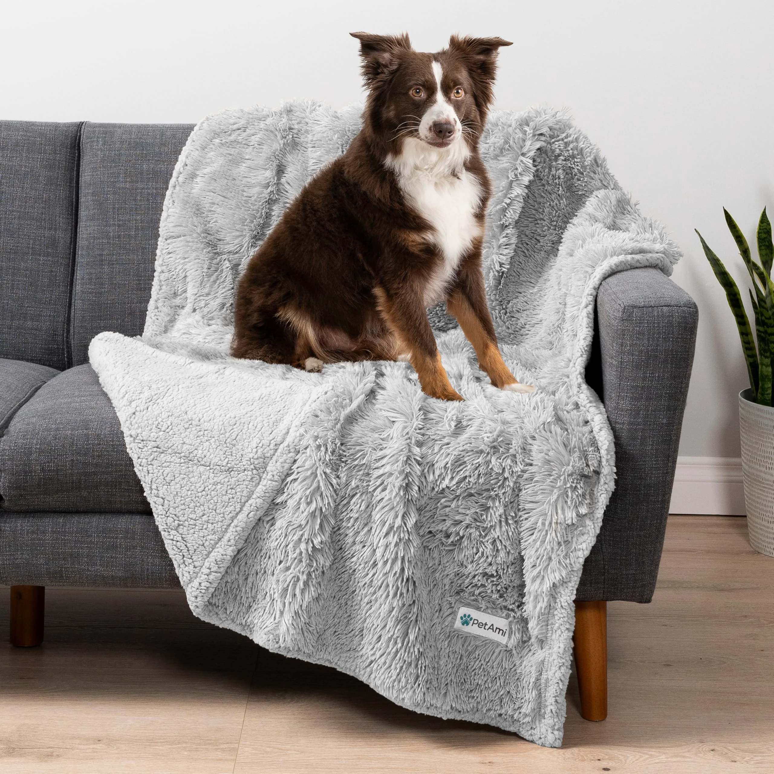 Fine PetAmi Waterproof Dog Blanket 60×40 for Medium Large Dogs Reversible Sherpa Faux Fur Couch Protector Traditional