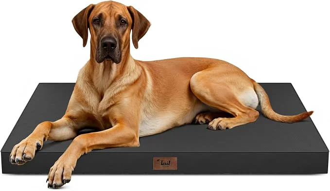 Breathable Outdoor Extra Large Dog Bed Jumbo Waterproof Dog Bed Reusable