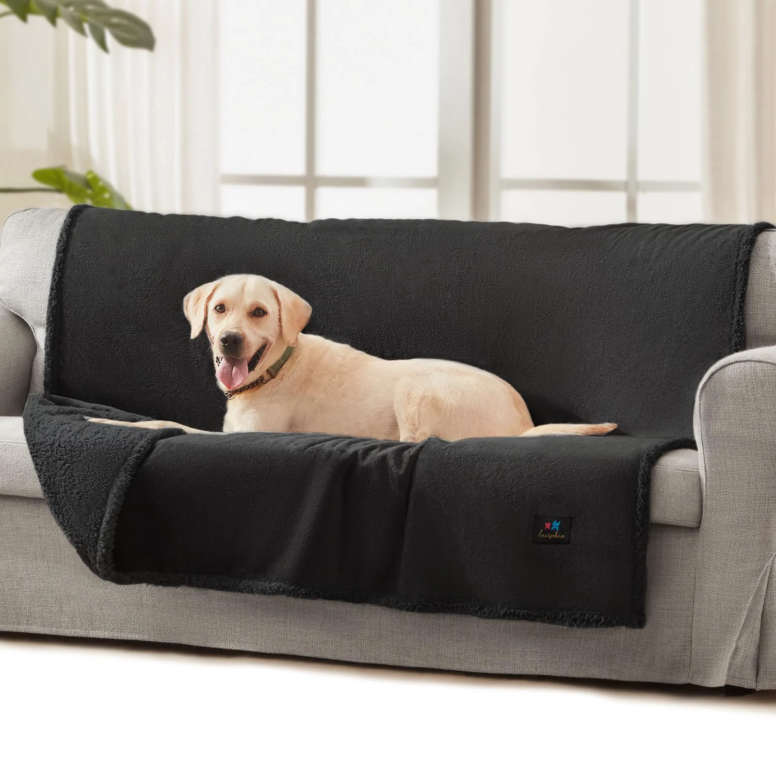 Reliable Luciphia Waterproof Bed Blanket – Reversible Sherpa Fleece Pet Throw 65×57 Black Next-Generation