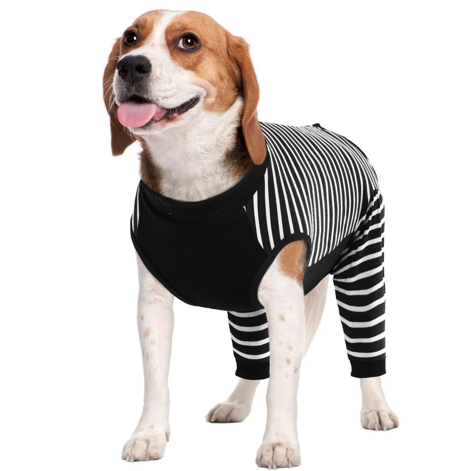 Authentic Kuoser Dog Recovery Suit – Anti-Licking Rear Leg Sleeve Abdominal Surgery Onesie Black Official