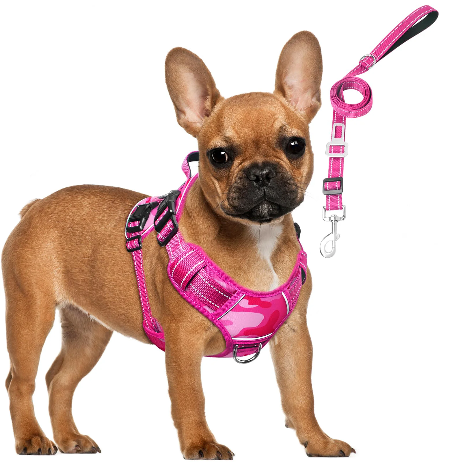 Eco-Friendly MOOGROU Tactical Dog Harness Leash Set — Small Size Heavy-Duty No-Pull Vest with Patches Reflective Safety Durable