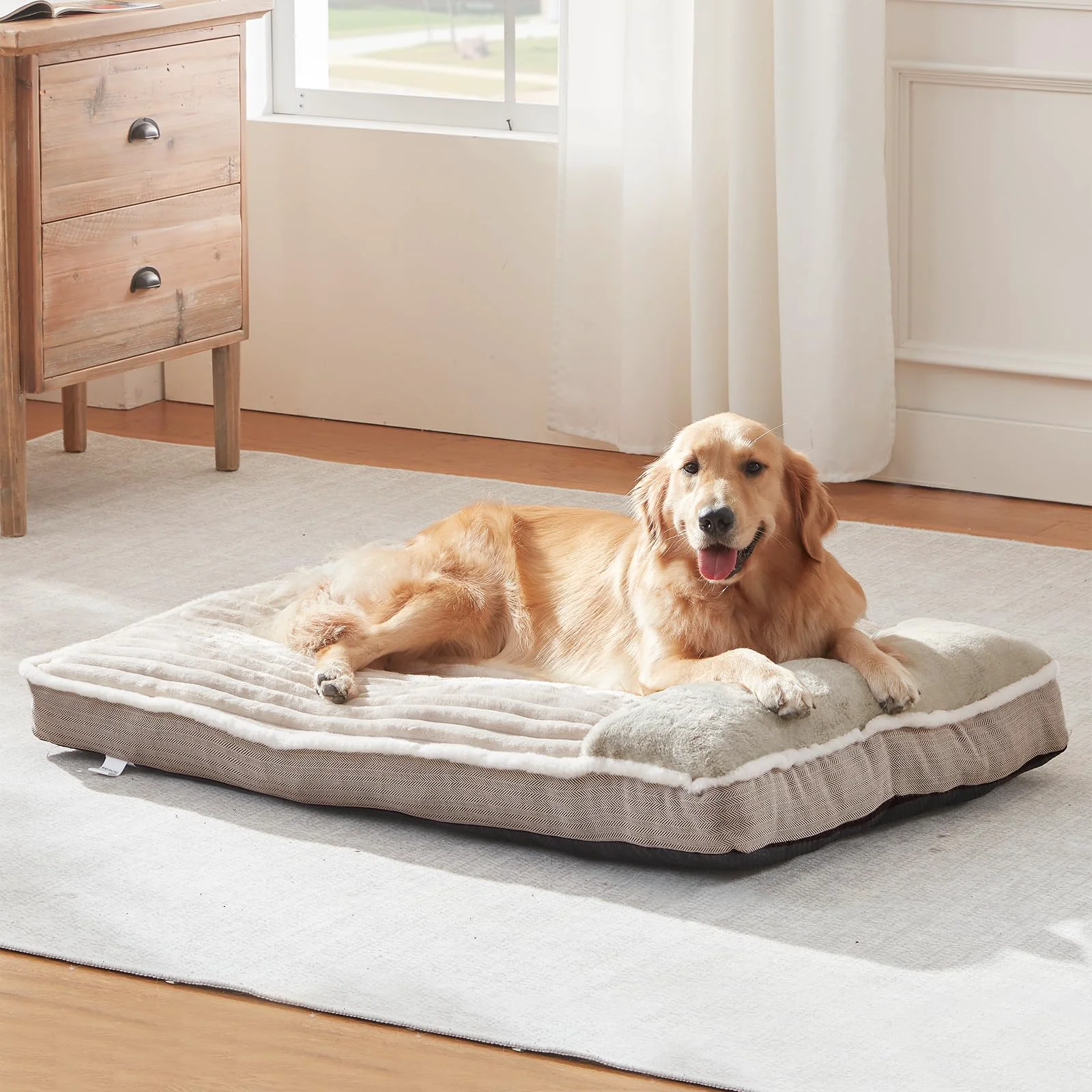 World-Class WINDRACING Large Dog Bed 36x27x3 – Cozy Beige Pillow-Style Mattress Crafted