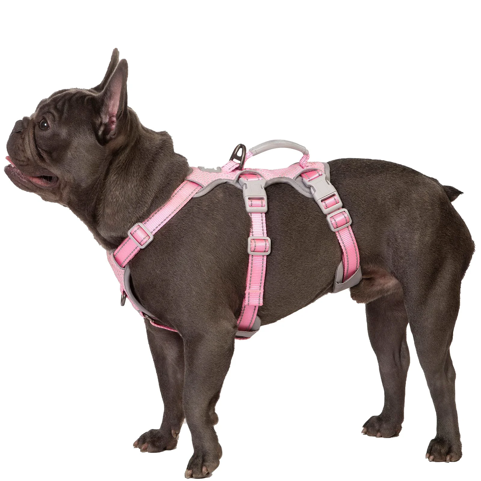 Dependable Huntboo Escape Proof Dog Harness for Medium Dogs – Reflective Padded Handle Pink M Casual