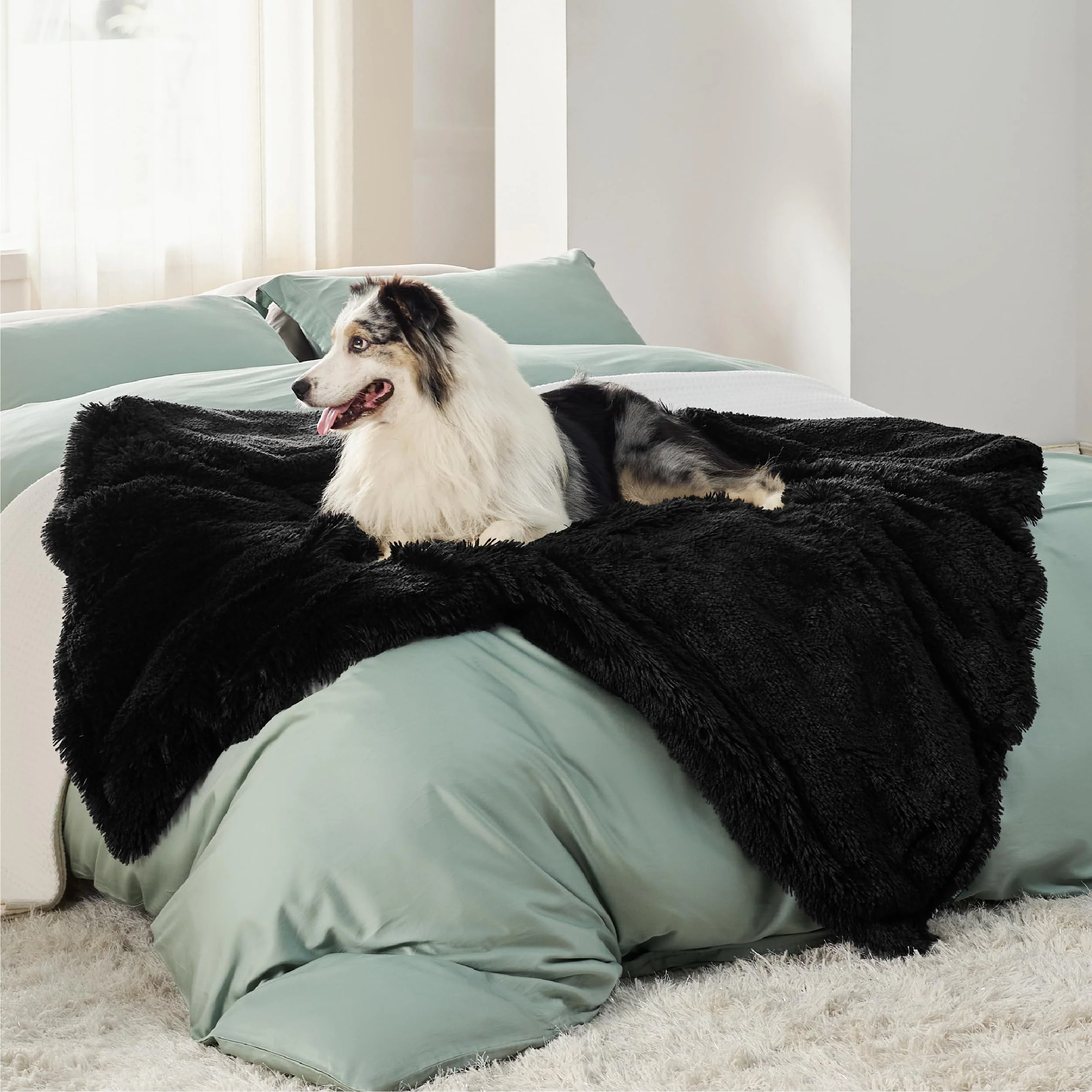 Exclusive Bedsure Waterproof Dog Blanket for Large Dogs – Reversible Washable 50×60 in Black Trusted