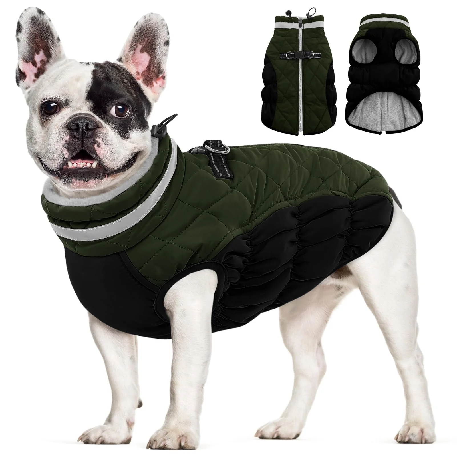 Prestigious AOFITEE Dog Coat — Warm Winter Jacket with Harness Waterproof Reflective Green XS Premium Material