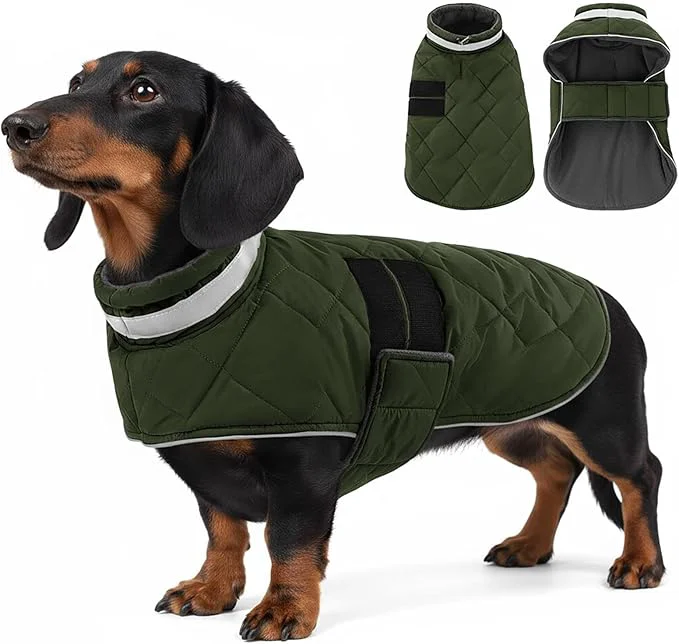 Fine Crafted Dog Winter Coat Warm Padded Puppy Jacket Windproof Water Resistant Clothes for Small Medium Large Pets Christmas Sweater Outfit Vest Green S About ThisOverview Official