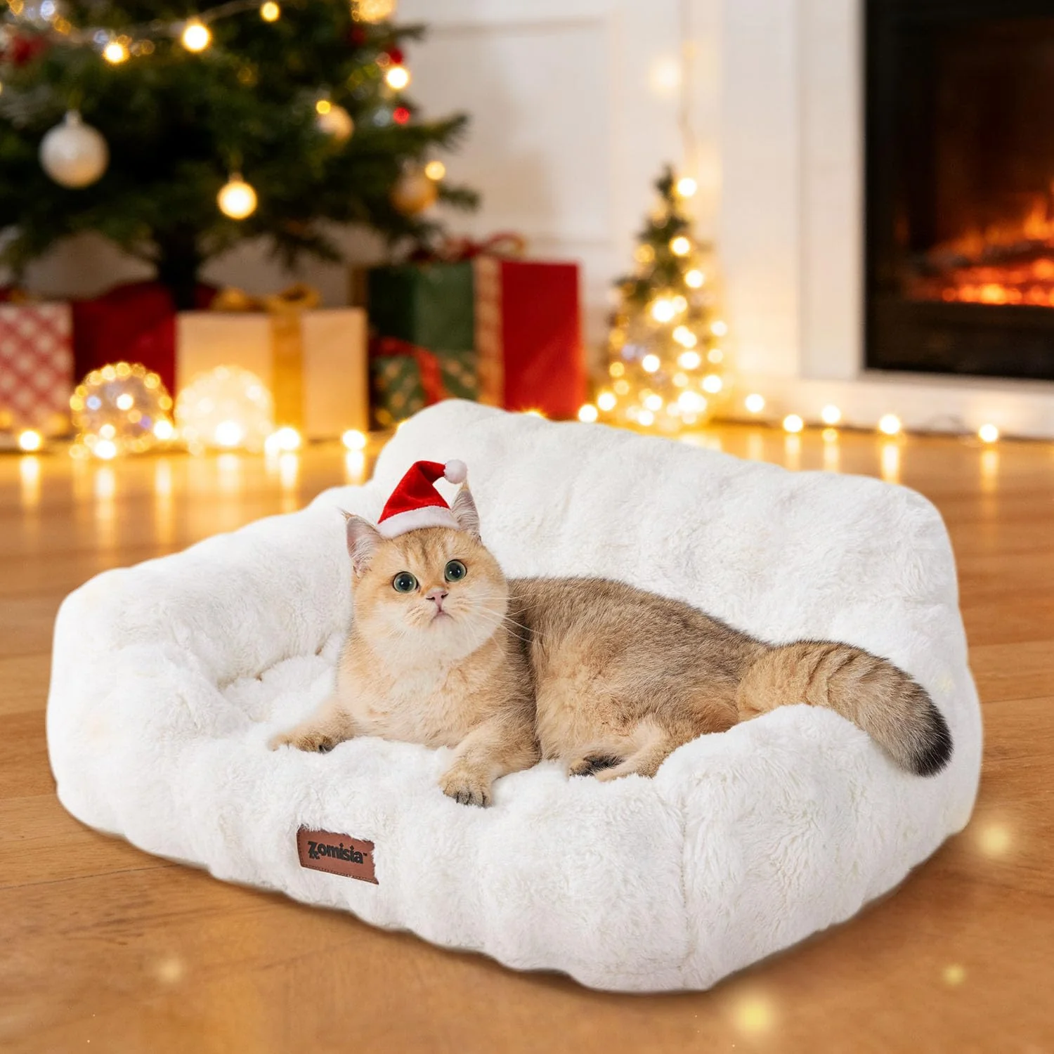 Top-Quality ZOMISIA Orthopedic Cat Couch Bed for Indoor Cats — Egg-Crate Foam Faux Fur Removable Cover Trendy