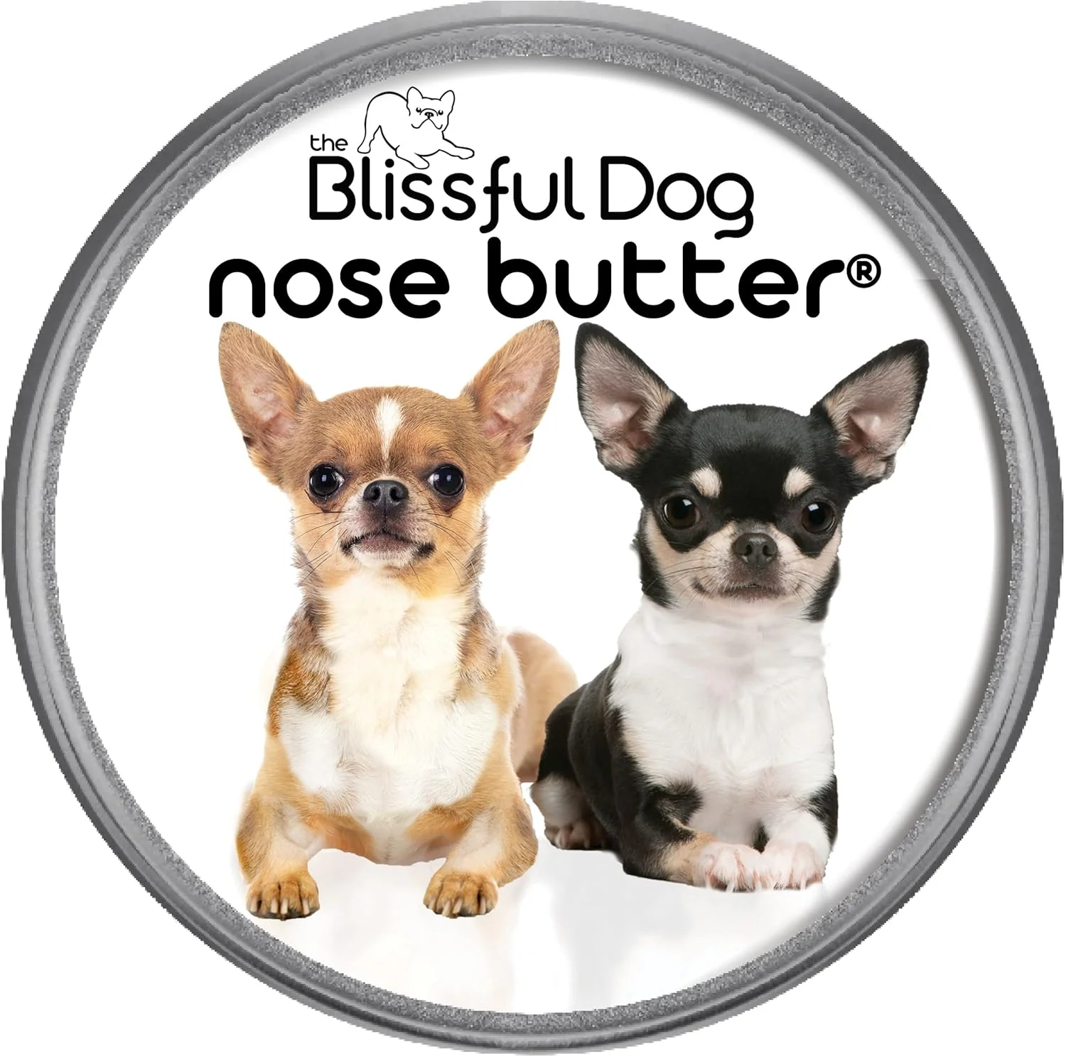 Crafted The Blissful Dog Smooth Coat Chihuahua Nose Butter for Dry Cracked Skin Lick-Safe Dog Nose Balm with Moisturizing Shea Butter Almond Olive and Essential Oils Pet Supplies Uncented 1 oz. Refined