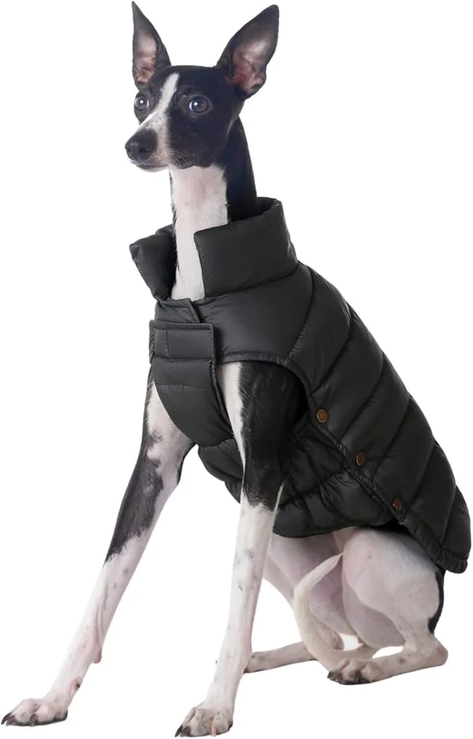 Reusable SPACE LION Dog Puffer Jacket Down Winter Coat Durable Outdoor Coat for Cold and Windy Conditions Lightweight Adjustable Fit Coats for Large Dogs Onyx Black Size22 XL About ThisOverview Recyclable