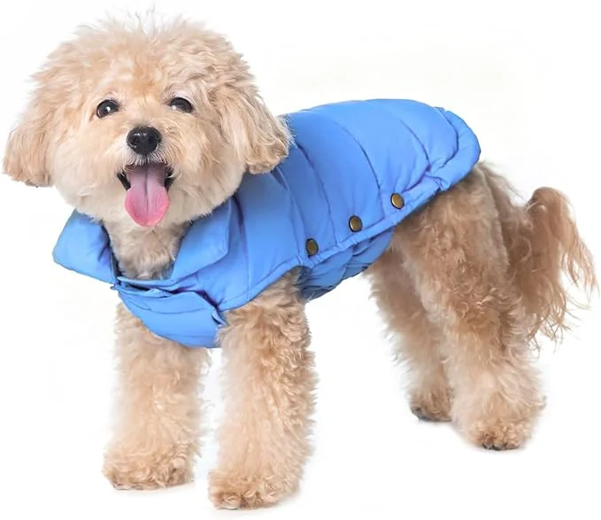 Quality SPACE LION Dog Puffer Jacket Down Winter Coat Durable Outdoor Coat for Cold and Windy Conditions Lightweight Adjustable Fit Coats for Small Dogs Alaskan Blue Size 8 Gift Box About ThisOverview