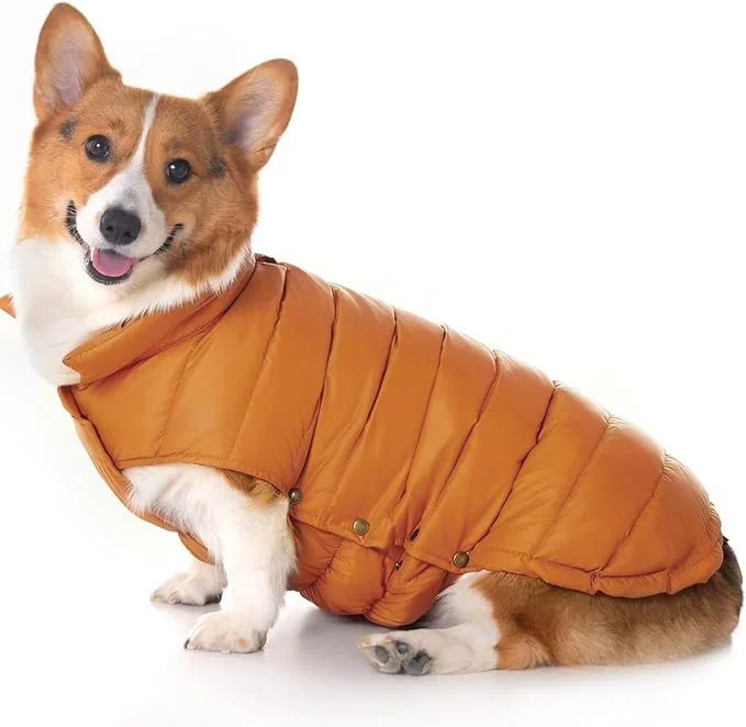 Professional SPACE LION Dog Puffer Jacket Down Winter Coat Durable Outdoor Coat for Cold and Windy Conditions Lightweight Adjustable Fit Coats for Medium Large Dogs Orange Size20 XL About ThisOverview Enhanced