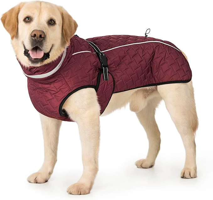 Reusable Dog Winter Coat for Small Medium Dogs Reflective Dog Winter Jacket Thick Fleece Snowsuit Christmas Vest Warm Water-Resistant Puppy Coat Small Doggie Jackets for Cold WeatherAbout ThisOverview Refined