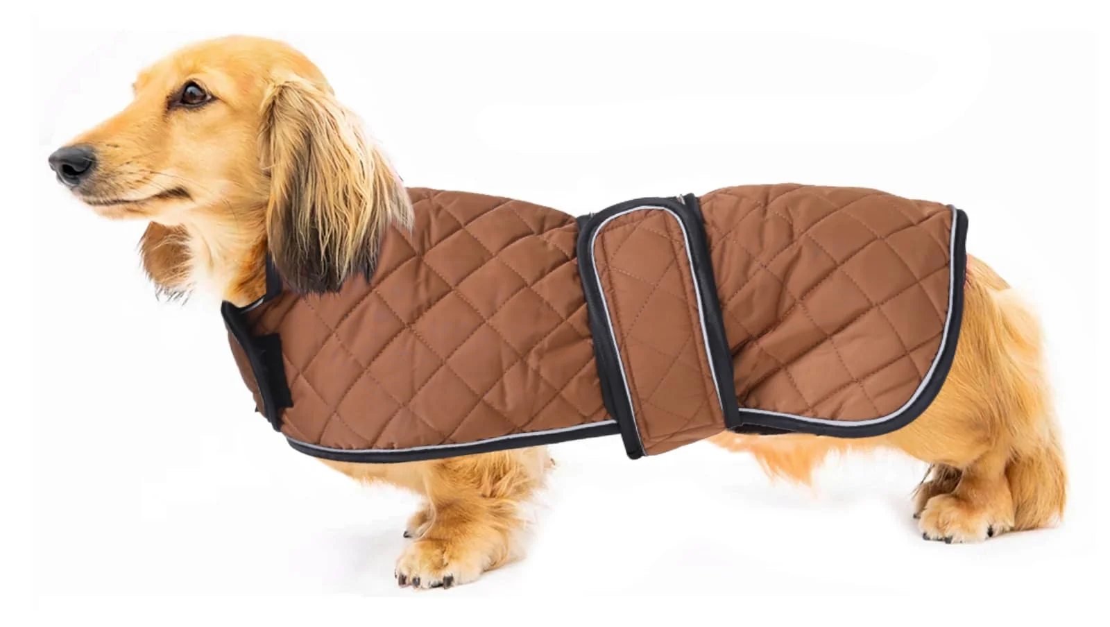 Natural Geyecete Warm Thermal Quilted Dachshund Coat — Waterproof Fleece-Lined Dog Winter Coat for Medium Large Dogs Optimized
