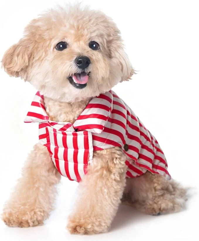 Crafted SPACE LION Dog Puffer Jacket Down Winter Coat Durable Outdoor Coat for Cold and Windy Conditions Lightweight Adjustable Fit Coats for Small Medium Dogs RedStripe Size 12 Gift Box About ThisOverview Responsible