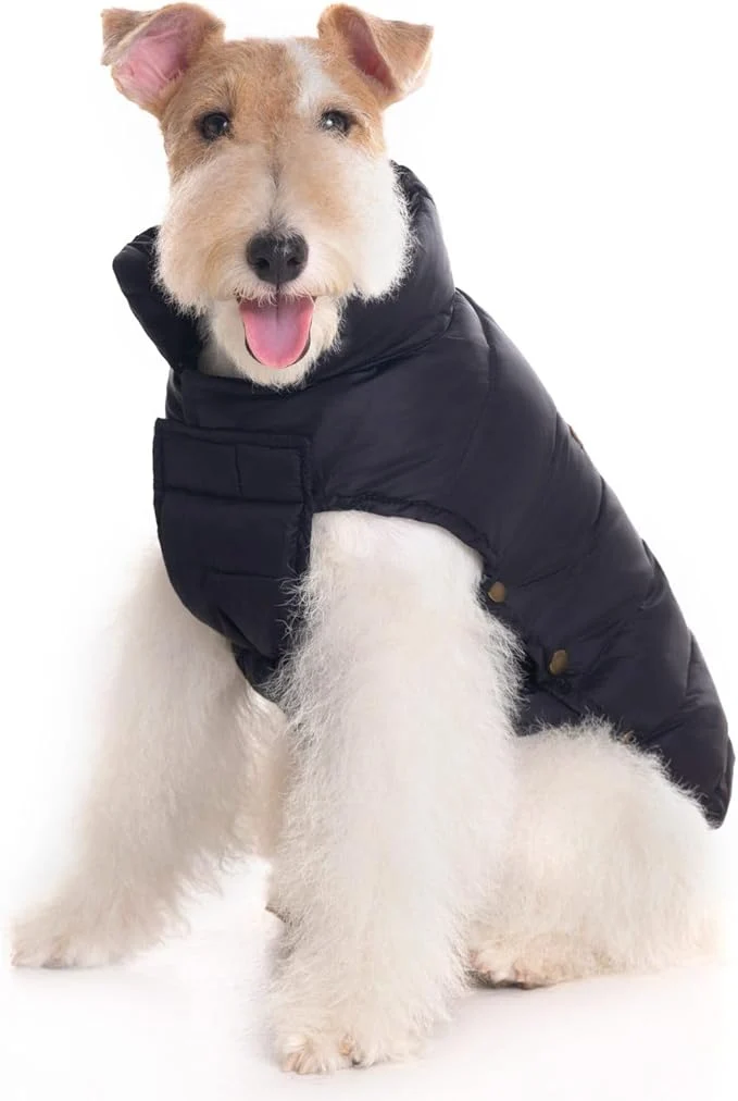 Original Design SPACE LION Dog Puffer Jacket Down Winter Coat Durable Outdoor Coat for Cold and Windy Conditions Lightweight Adjustable Fit Coats for Small Medium Dogs Onyx Black Size 12 Gift Box About ThisOverview Authentic