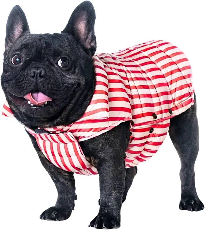 Innovative SPACE LION Dog Puffer Jacket Down Winter Coat Durable Outdoor Coat for Cold and Windy Conditions Lightweight Adjustable Fit Coats for Large Dogs RedStripe Size22 XL About ThisOverview Excellent