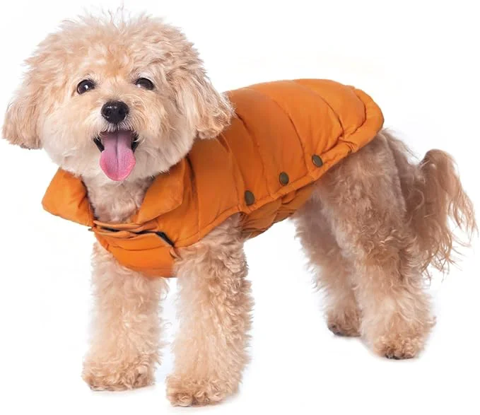 Relaxed SPACE LION Dog Puffer Jacket Down Winter Coat Durable Outdoor Coat for Cold and Windy Conditions Lightweight Adjustable Fit Coats for Small Dogs Orange Size 8 Gift Box About ThisOverview Luxury