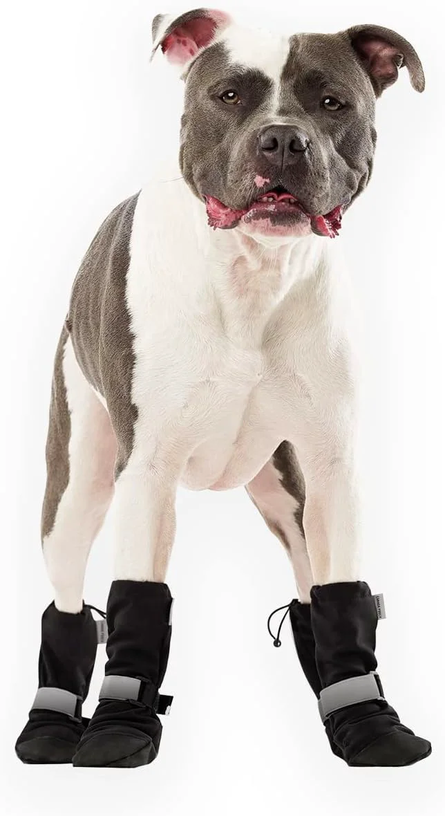 Official Canada Pooch Dog Winter Boots – Paw Protection Anti-Slip Dog Shoes with Reflective Strap Easy On for Small Medium Large Dog Booties – Black Size 2About ThisOverview Fashionable
