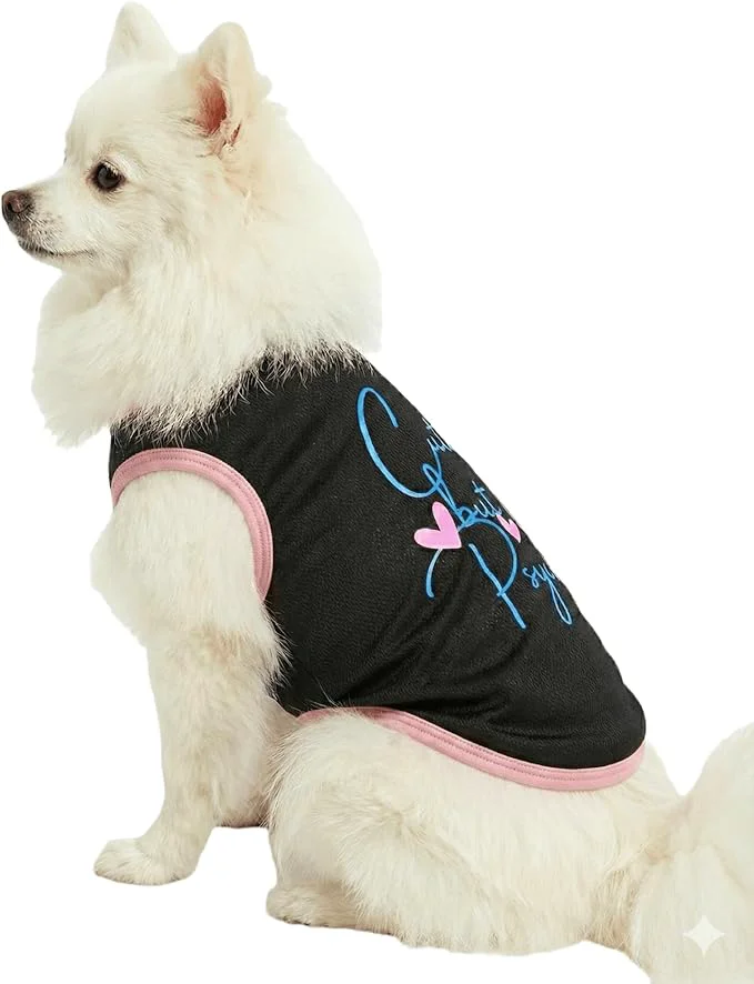 Pure Small Dog T-Shirt for Girls Dog Cooling Vest Breathable Quick Dry Pet Summer Dogs Vest Girl Puppy Clothes for Chihuahua ClothesAbout ThisOverview Innovative