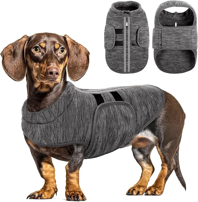 Elite Queenmore Small Dog Sweaters Soft Fleece Vest Pullover Dog Jacket with Leash Hole Warm Winter Dogs Clothes Cold Weather Doggy Dachshund Sweater for Small Dogs Cats Boy or Girl Cationic Gray XS About ThisOverview Effective