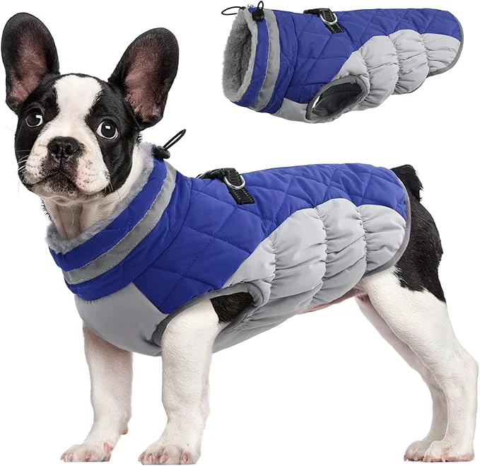Certified FUAMEY Dog Coat for Medium Dogs Waterproof Dog Winter Jacket with Harness Built in Puppy Cold Weather Coats Reflective Pet Vest with Zipper Warm Fleece Dogs Snowsuit Windproof Blue MAbout ThisOverview High-End