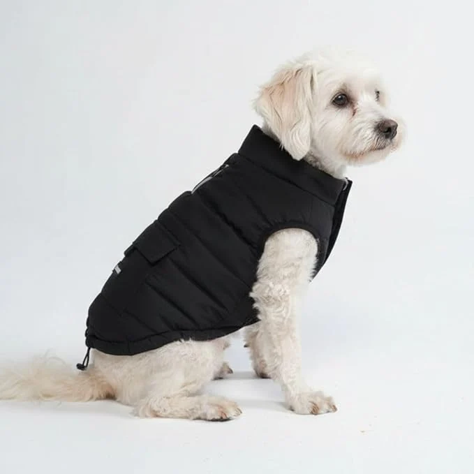 Flexible Spark Paws Dog Winter Jacket Water-Resistant Coat Warm Reflective Windproof Fleece-Interior for Medium and Large Dogs – Black – MAbout ThisOverview Functional