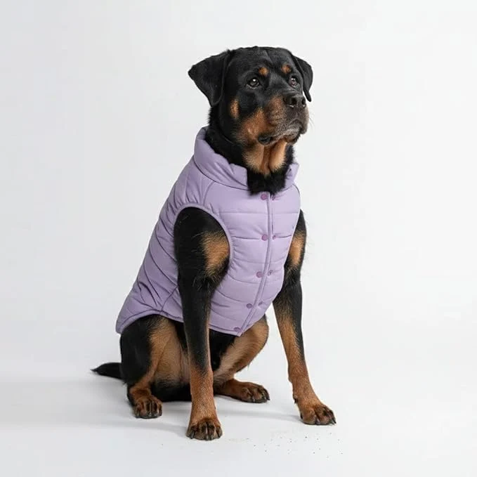 Casual Spark Paws Dog Winter Jacket Water-Resistant Coat Warm Reflective Windproof Fleece-Interior for Medium and Large Dogs – Lilac – 4XLAbout ThisOverview Contemporary
