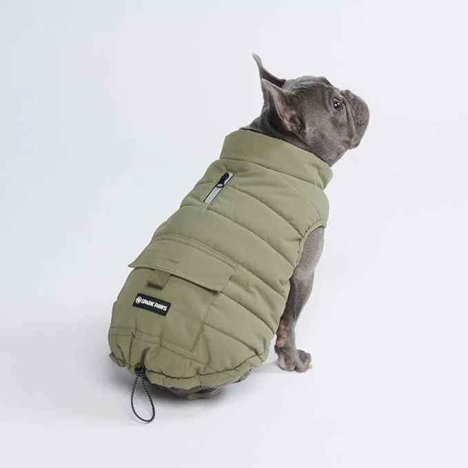 Fine Crafted Spark Paws Dog Winter Jacket Water-Resistant Coat Warm Reflective Windproof Fleece-Interior for Medium and Large Dogs – Olive – XLAbout ThisOverview Effective