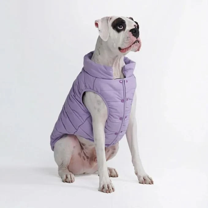 Pure Spark Paws Dog Winter Jacket Water-Resistant Coat Warm Reflective Windproof Fleece-Interior for Medium and Large Dogs – Lilac – 3XLAbout ThisOverview Long-Lasting