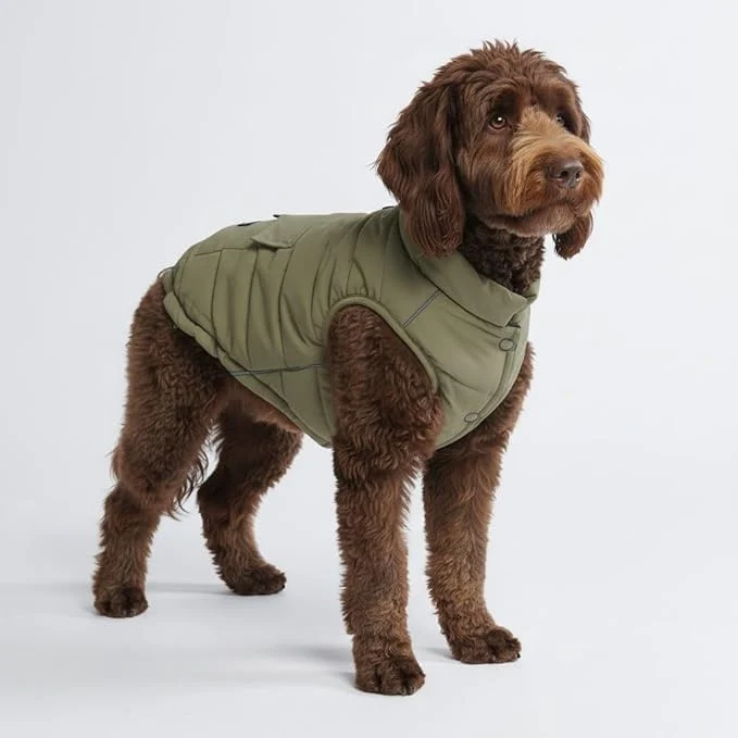 Stylish Spark Paws Dog Winter Jacket Water-Resistant Coat Warm Reflective Windproof Fleece-Interior for Medium and Large Dogs – Olive – XXLAbout ThisOverview Effective