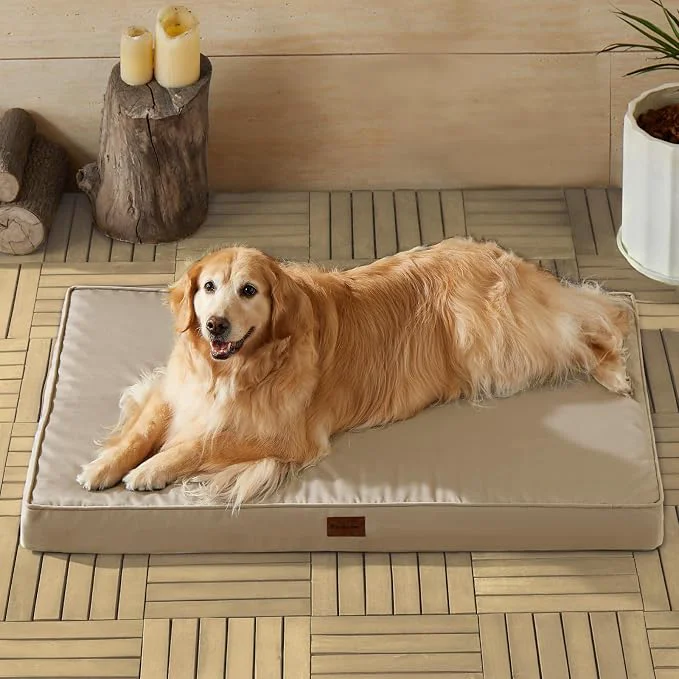 Sustainable BFPETHOME Outdoor Dog Bed for Large Dogs Waterproof Orthopedic Next-Generation