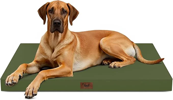Durable Outdoor Extra Large Dog Bed Jumbo Waterproof Dog Bed Exceptional