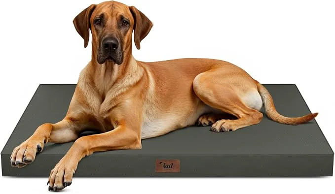 Premium Material Outdoor Extra Large Dog Bed Jumbo Waterproof Dog Bed Premium